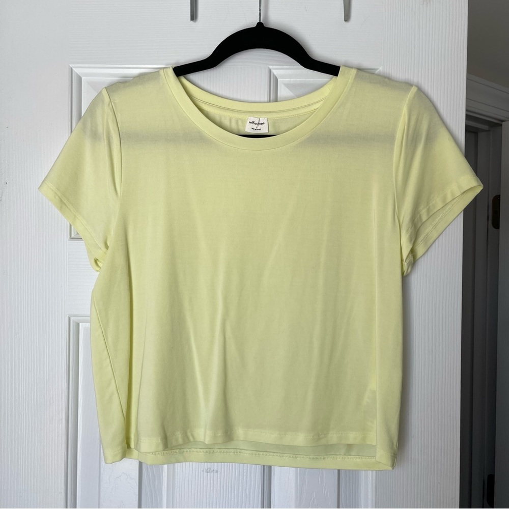 Aritzia Tee